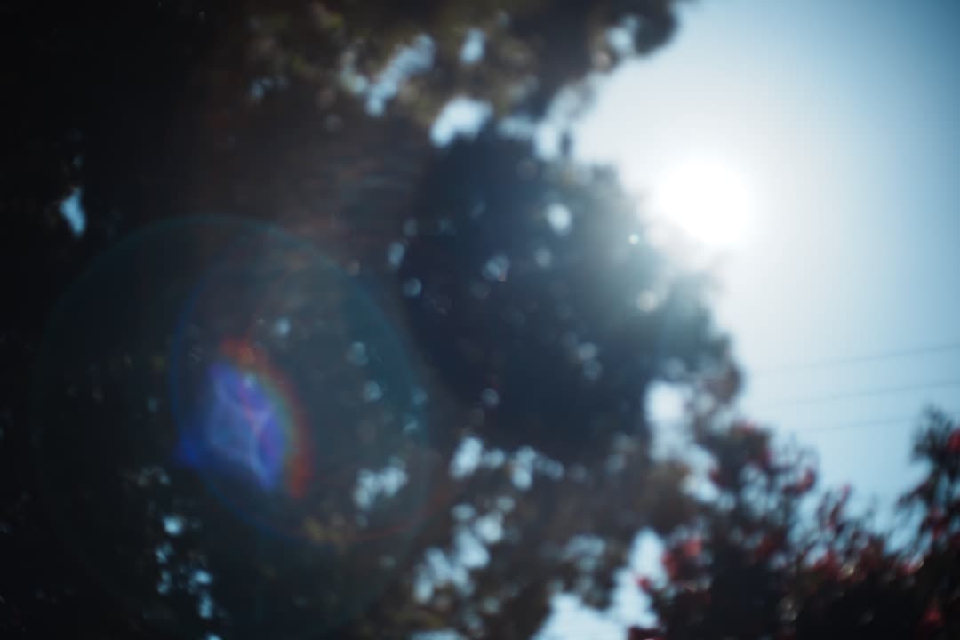 【極美品】Carl Zeiss Planar 50mm F1.4 MMJ 996