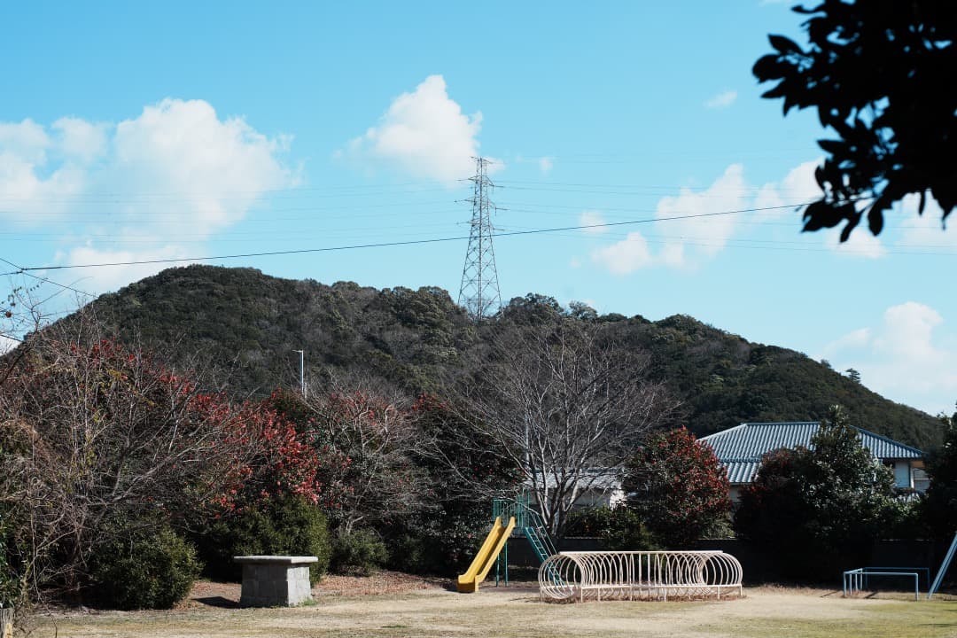 【極美品】Carl Zeiss Planar 50mm F1.4 MMJ 996