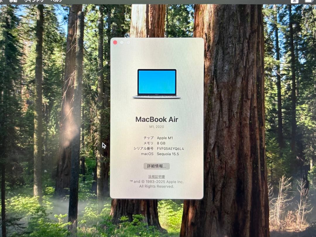 MacBook Air M1 2020 【8GB/256GB】13インチ