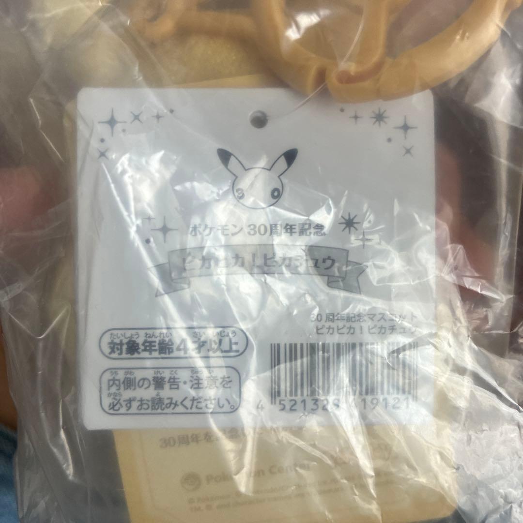 30周年記念グッズ ピカチュウ ぬいぐるみ 2体セット