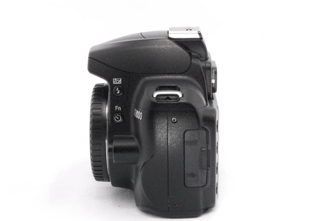 お得価格‼️Nikon D3000 ダブルレンズセット プロ仕様の撮影