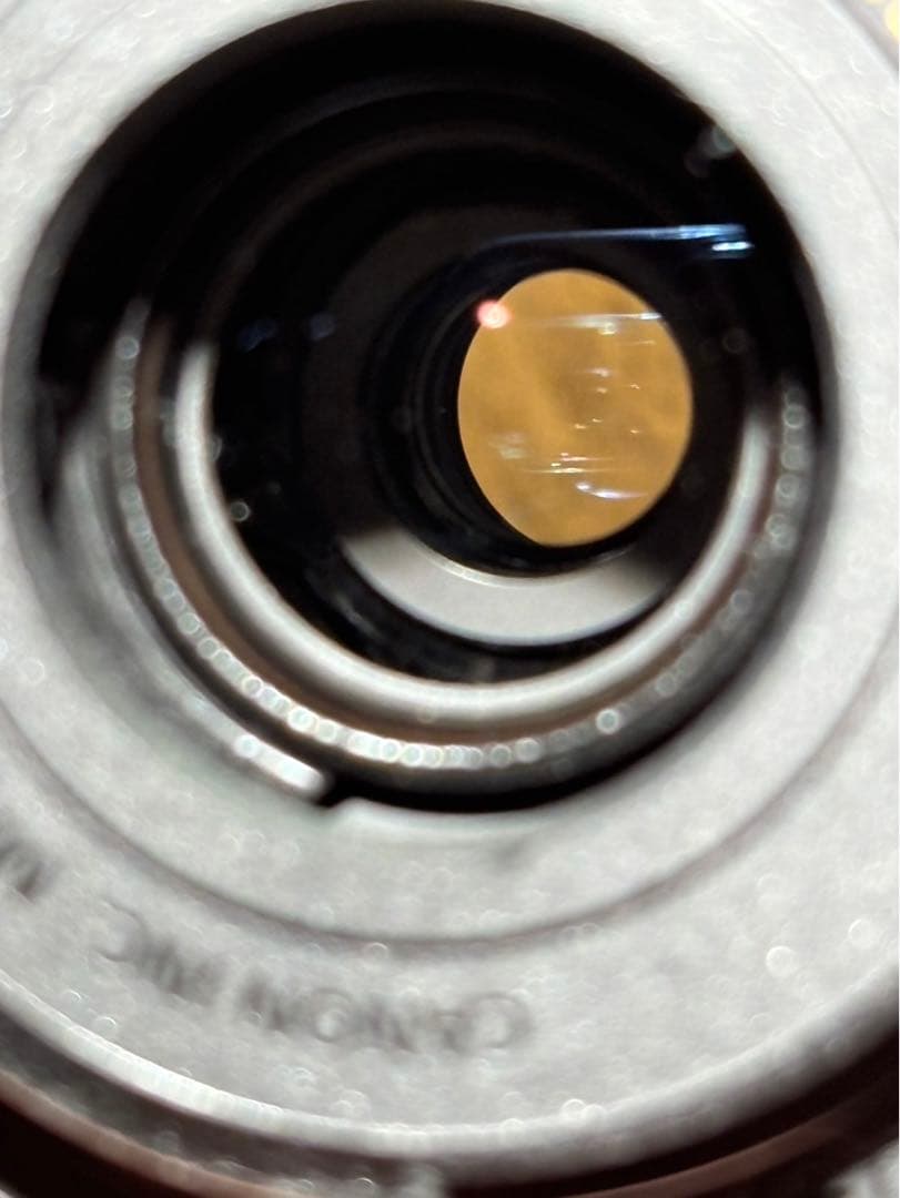 美品　Canon EF-M 55-200mm 1:4.5-6.3 IS STM