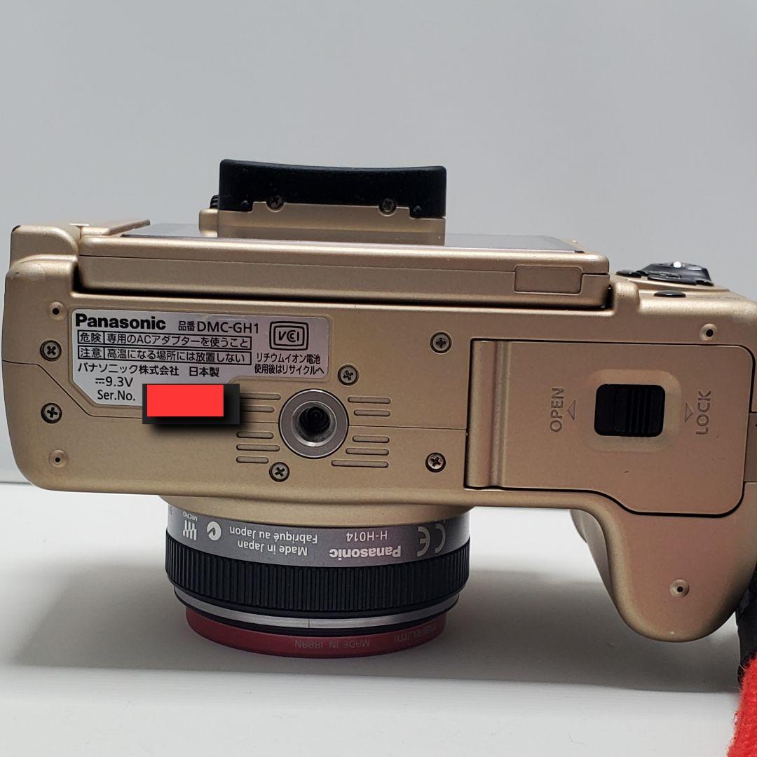 パナソニック LUMIX GH1 単焦点レンズ ライト ディフューザー まとめ売