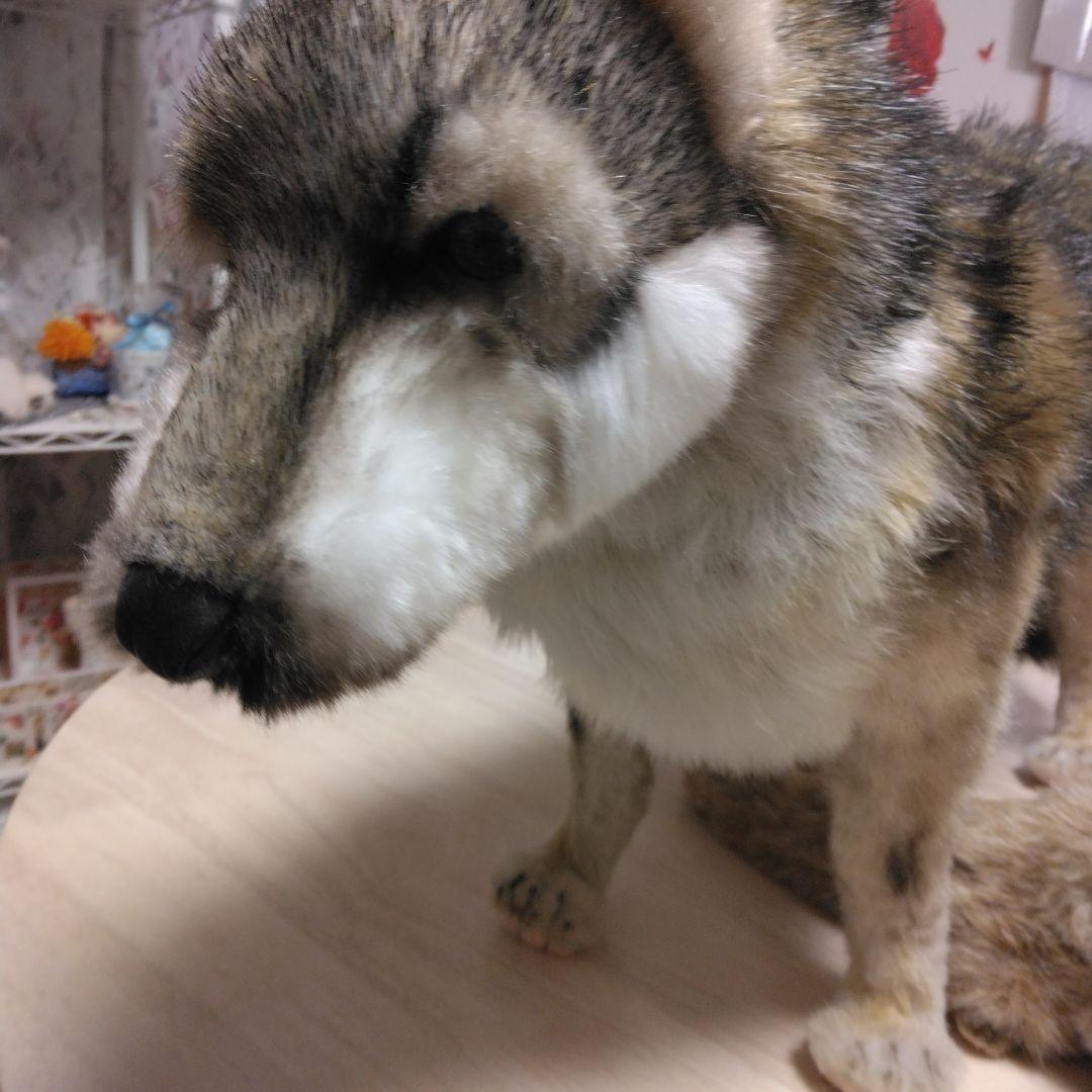 オオカミのぬいぐるみ