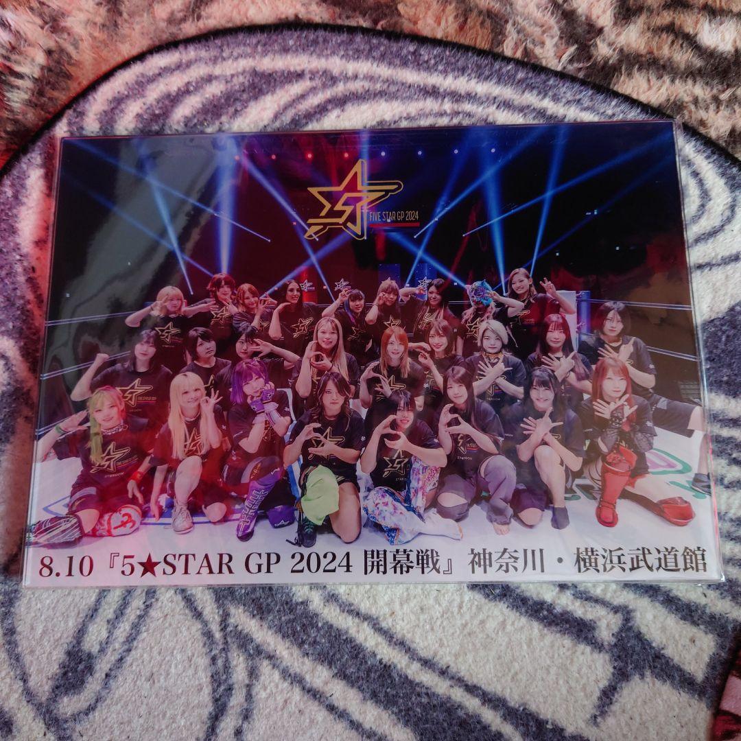 スターダム 女子プロレス A4サイズ アクリルパネル