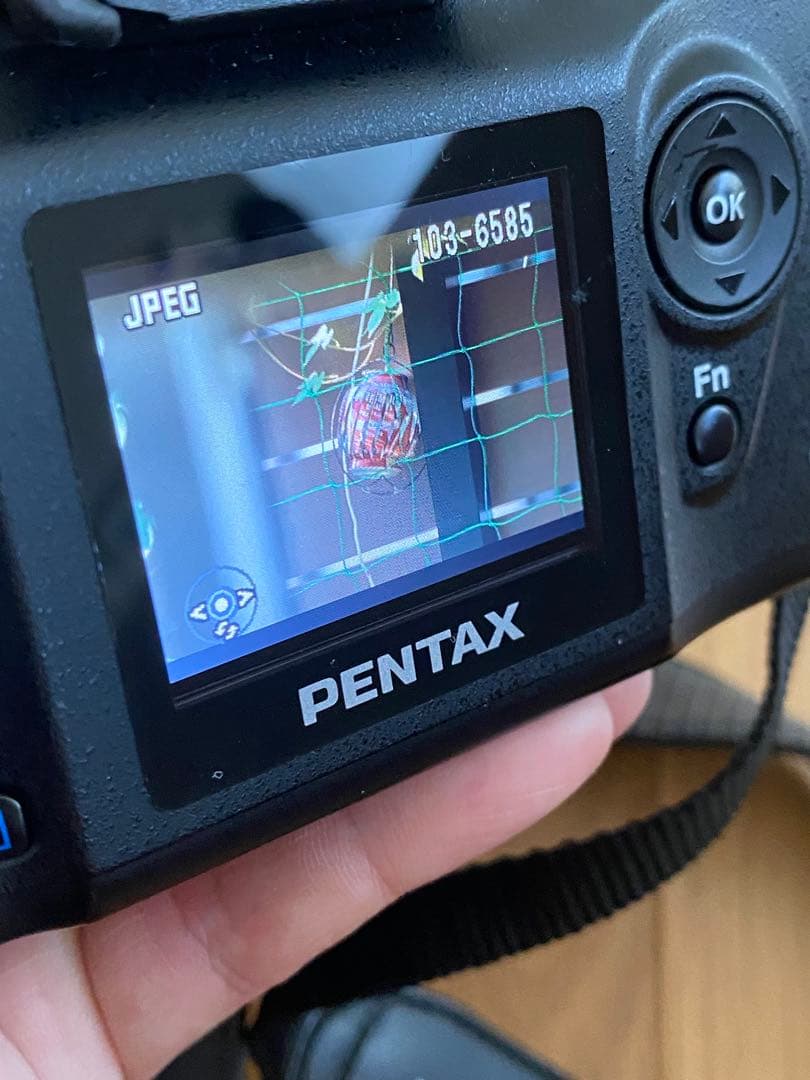 PENTAX ist DS デジタル一眼 CCD35-80 75-200 動作品