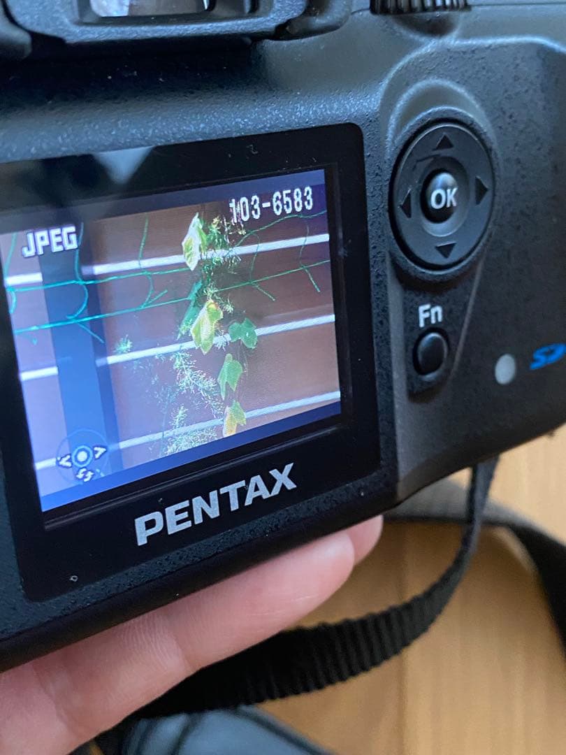 PENTAX ist DS デジタル一眼 CCD35-80 75-200 動作品