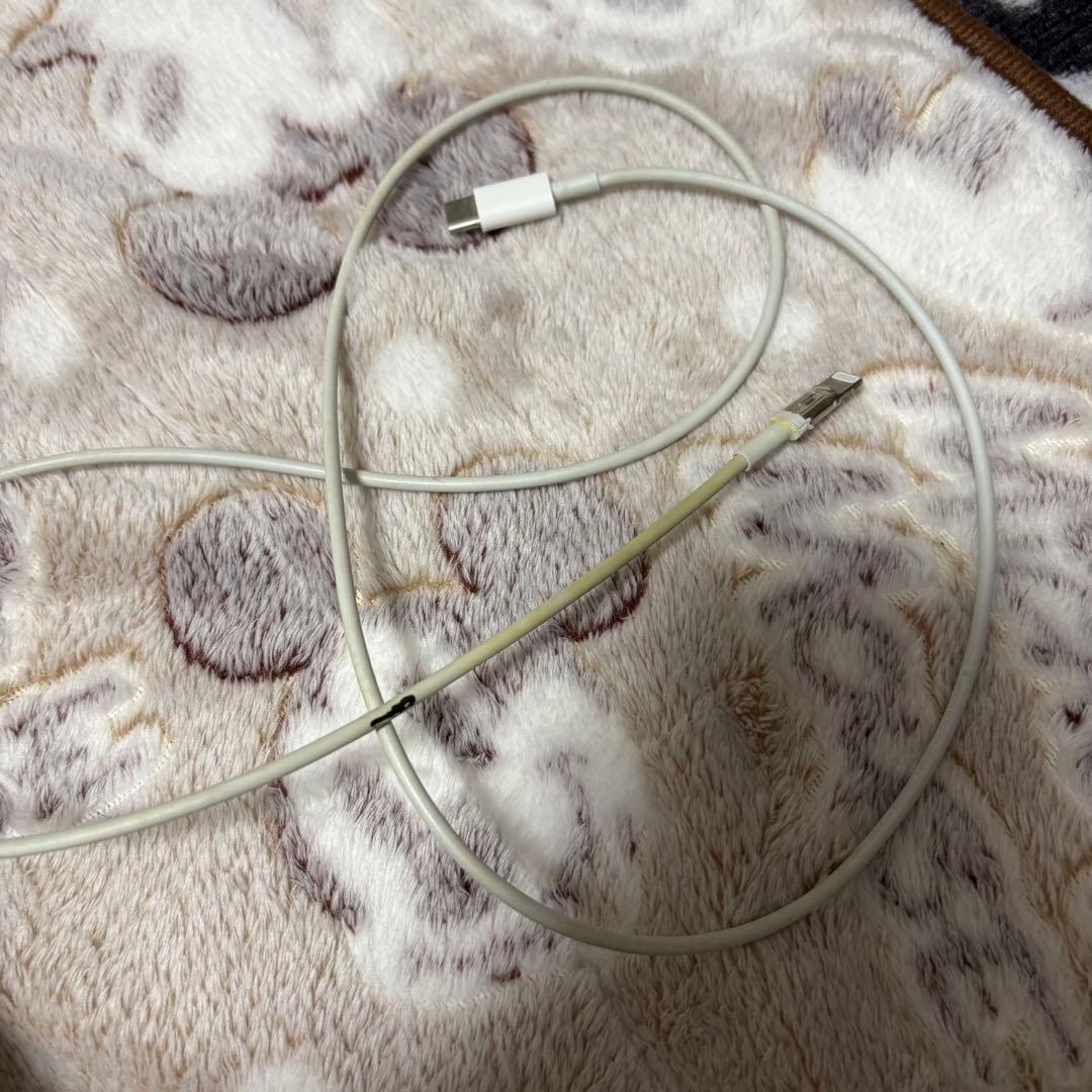 Apple iPhone13 proシエラブルー256GB