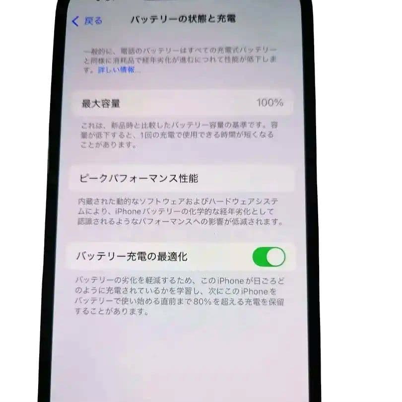 iPhone 13 Pro 256GB　シエラブルー　純正バッテリー100%