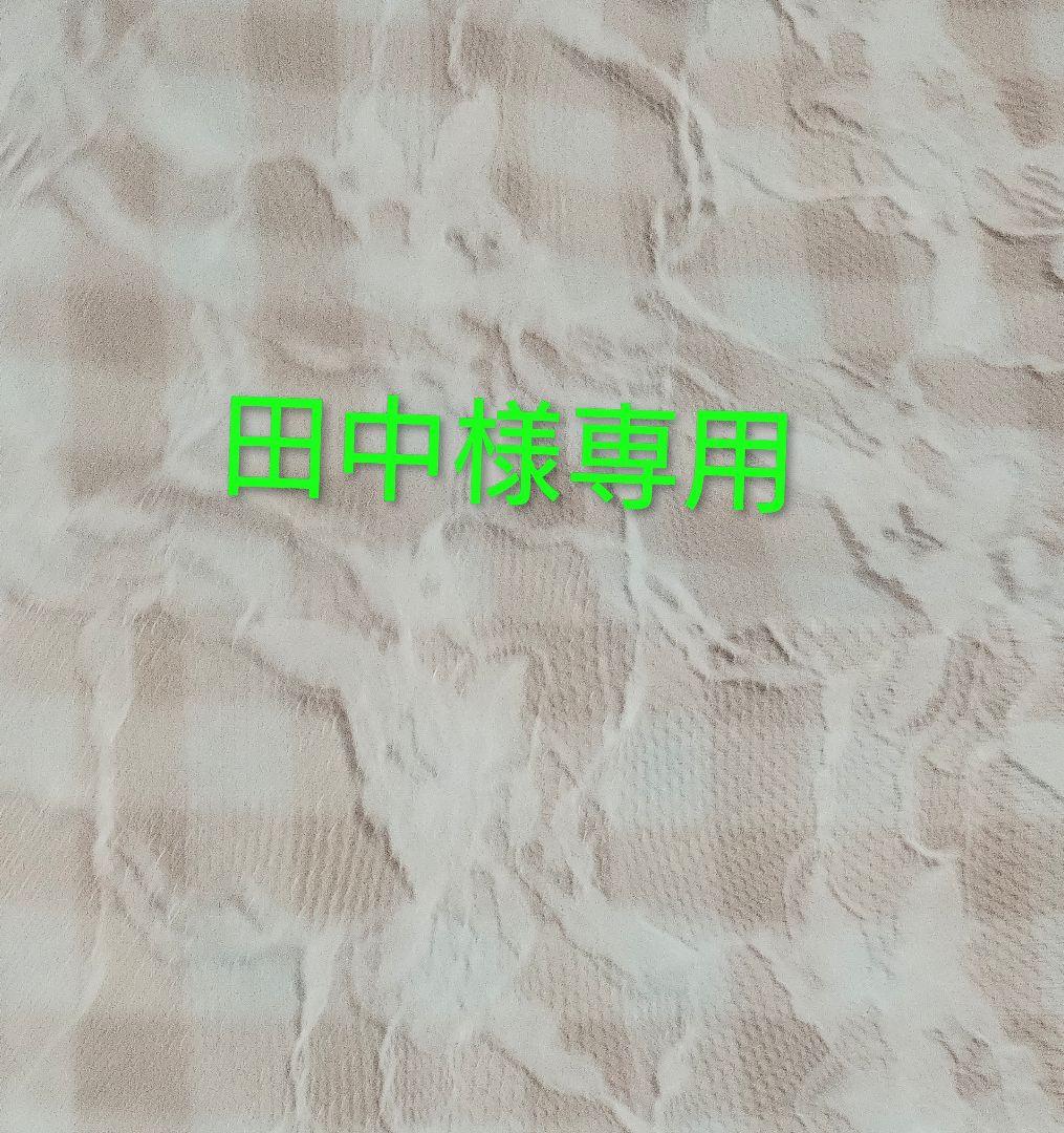 田中様　いつぬいリボン