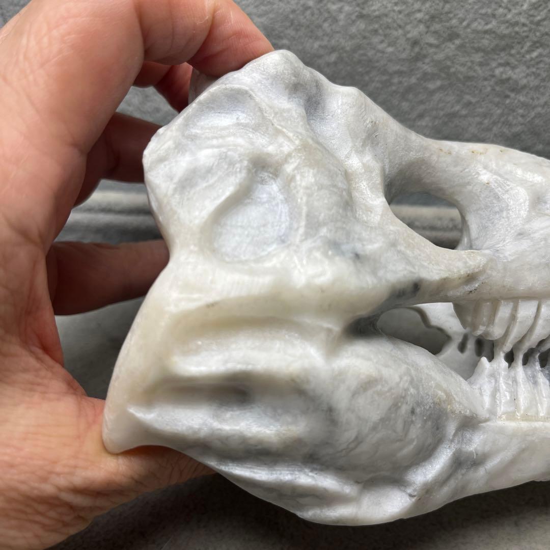 ハウライト　恐竜の頭蓋骨の彫り物　特大