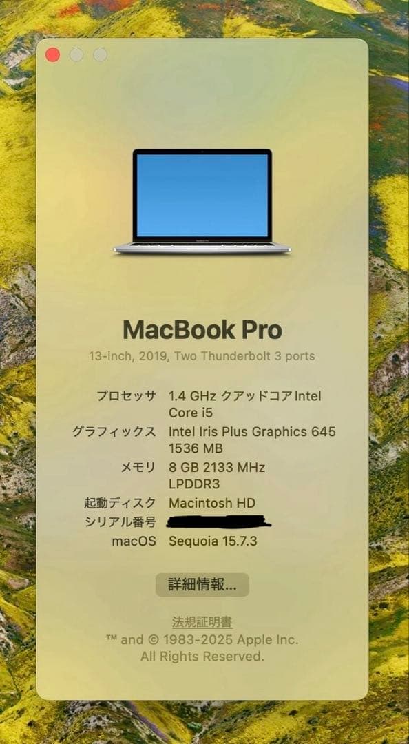 【値下げ中！】MacBook Pro 13-inch 2019年モデル