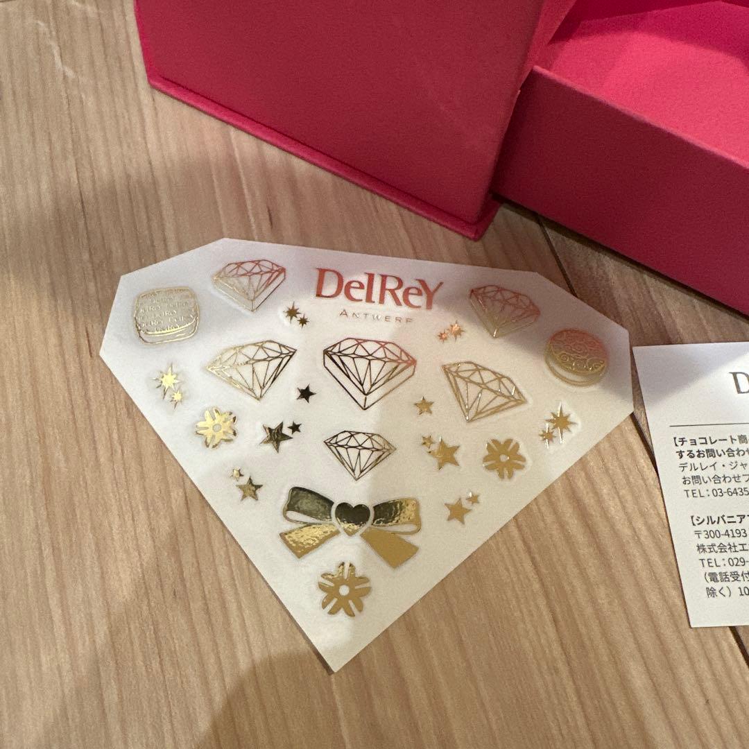 【新品未使用】DelReY　シルバニアファミリーコラボ