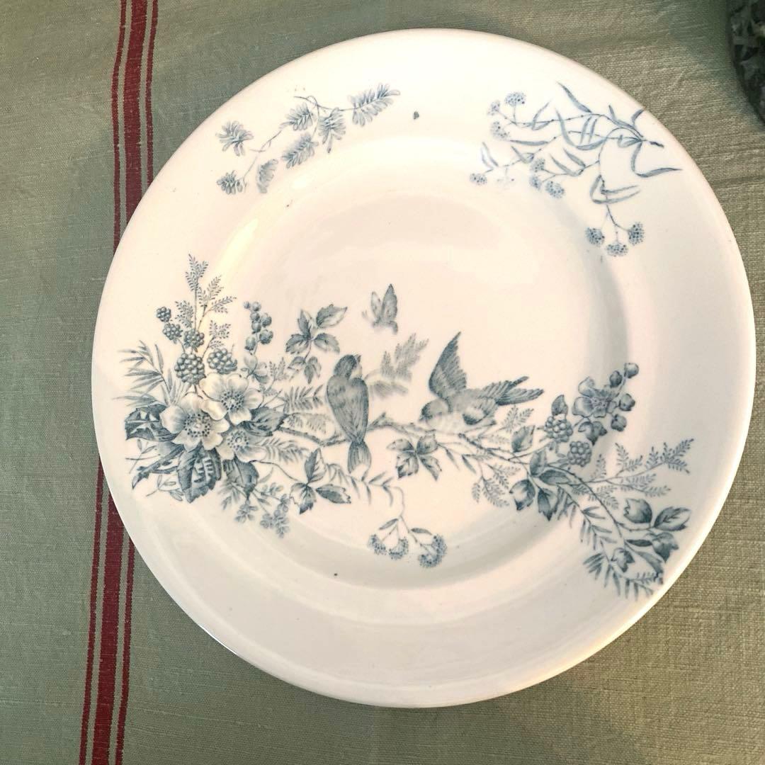ロンウィ ミニョン Longwy mignon プレートツバメ　小鳥　鳥【B】