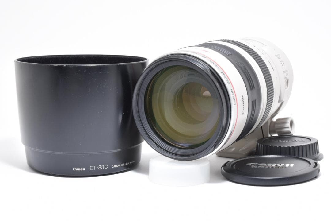 【超美品】Canon EF 100-400mm F4.5-5.6 L #496