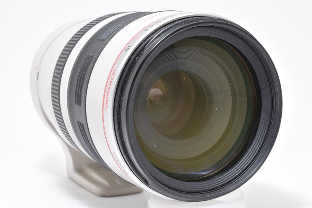 【超美品】Canon EF 100-400mm F4.5-5.6 L #496