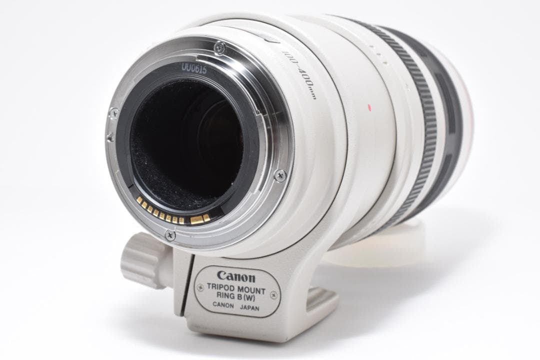 【超美品】Canon EF 100-400mm F4.5-5.6 L #496