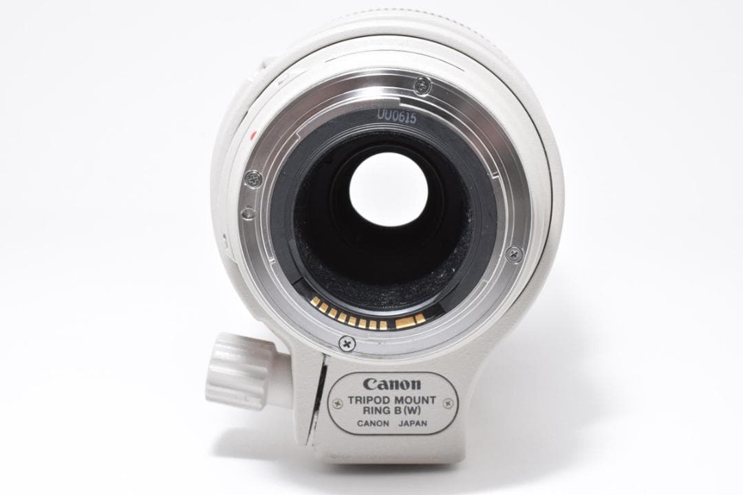 【超美品】Canon EF 100-400mm F4.5-5.6 L #496