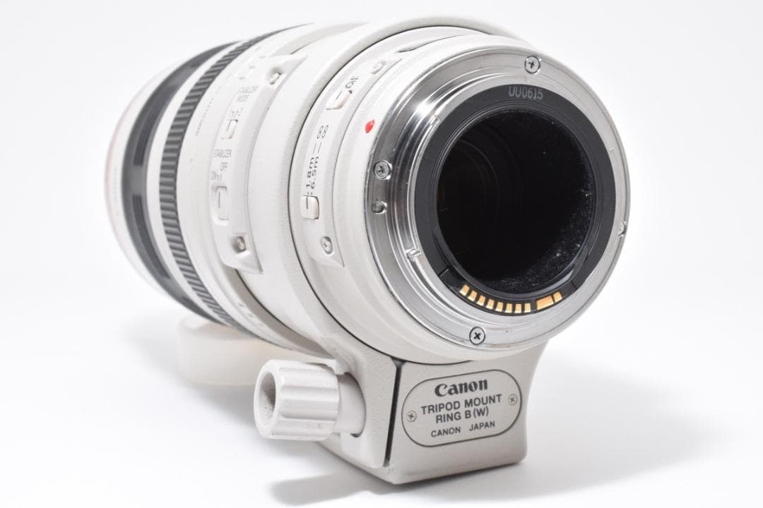 【超美品】Canon EF 100-400mm F4.5-5.6 L #496