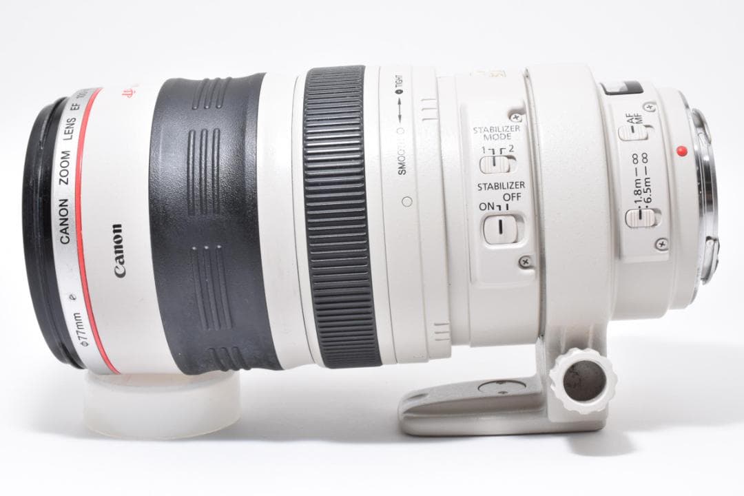 【超美品】Canon EF 100-400mm F4.5-5.6 L #496