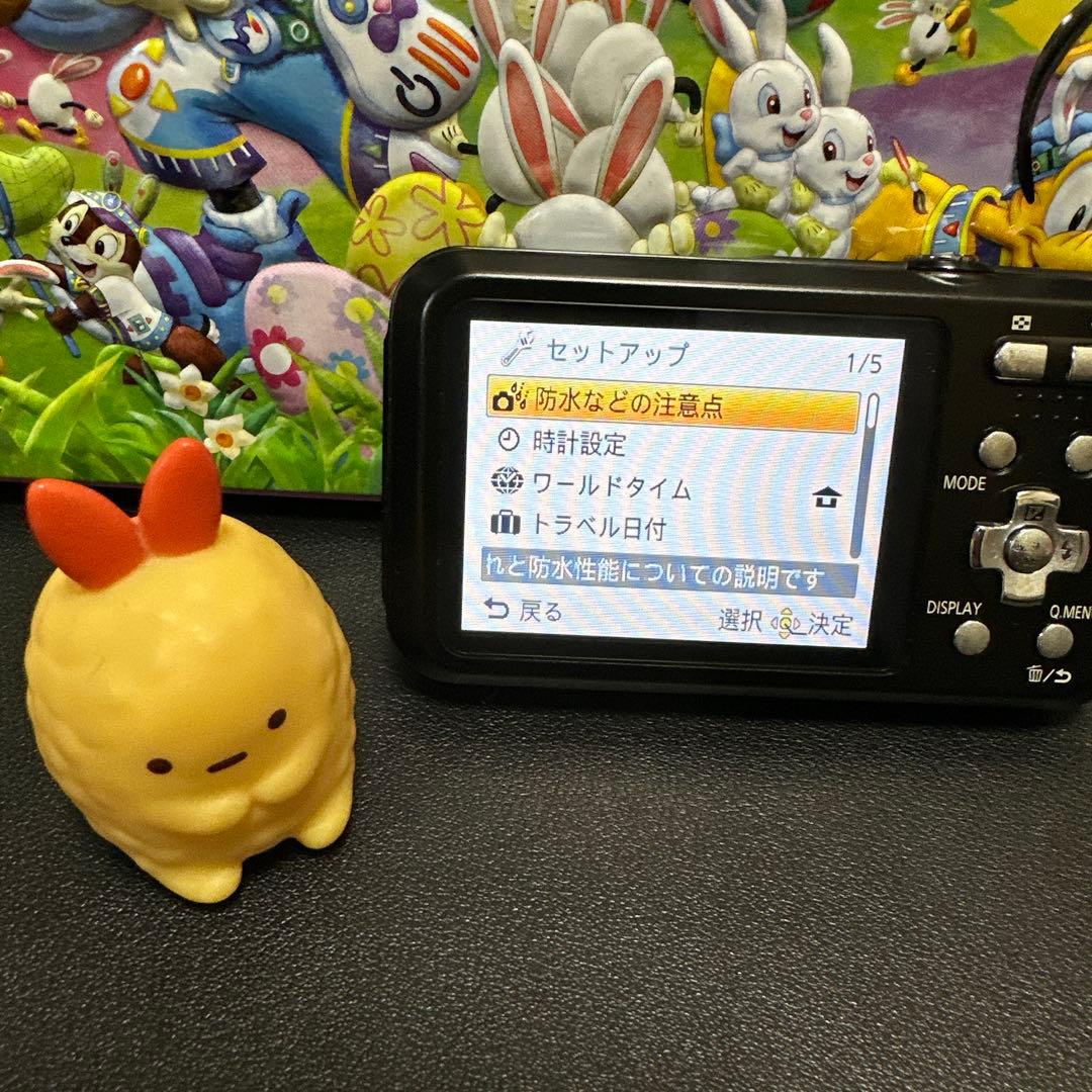 美品 PANASONIC LUMIX DMC-FT20動作品　防水デジタルカメラ