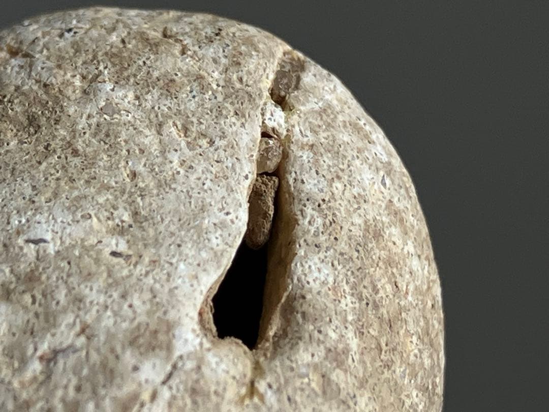 【吠えぬ 緑釉犬俑 約6㎝ 古代中国?土笛?犬神土人形】守護像 民間信仰 発掘