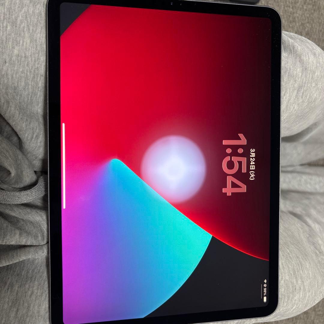 iPad Pro 11インチ 第2世代 256GB Wi-Fi 美品 充電器付き