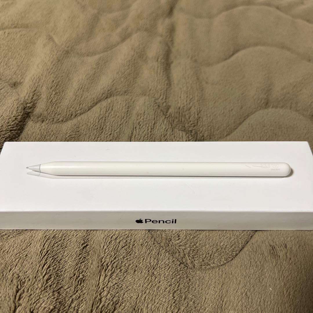 Apple iPad Air スペースグレー 本体　apple pencil付き