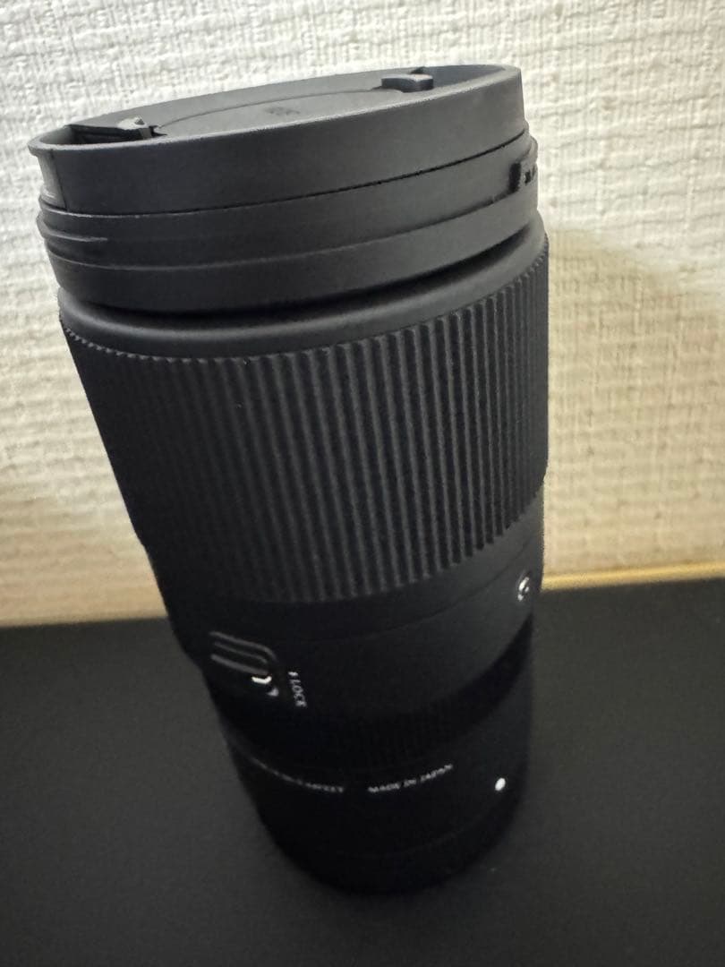 SIGMA 16-300mm F3.5-6.7 DC OS RFマウント用