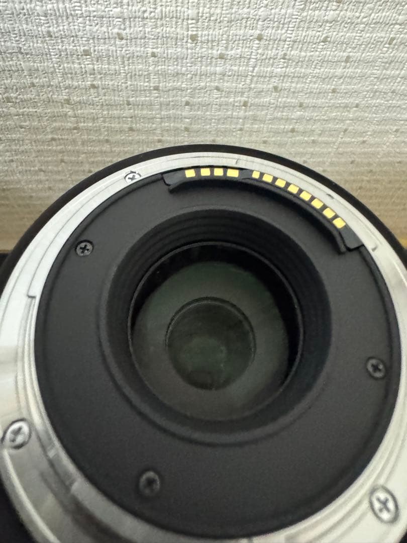 SIGMA 16-300mm F3.5-6.7 DC OS RFマウント用