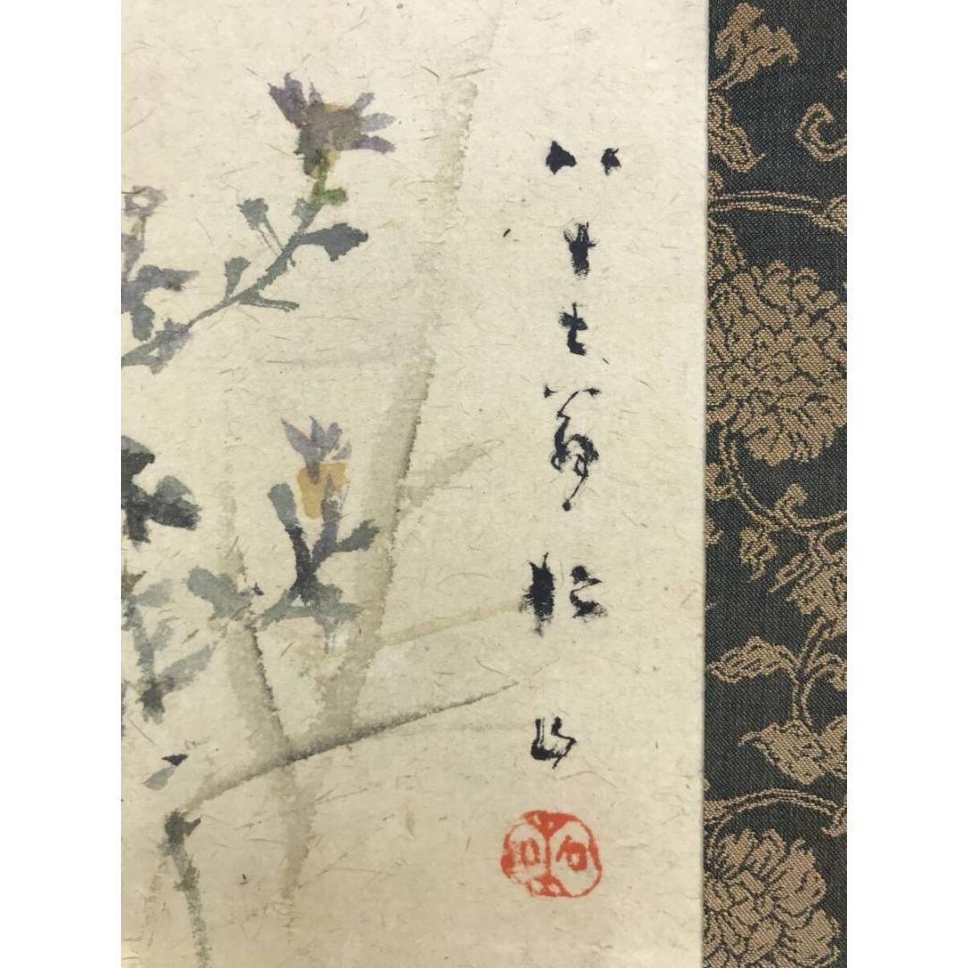 真作/藤井松山/野菊に蜻蛉図/トンボ/花鳥図/秋の掛軸/掛軸☆宝船☆AK-673
