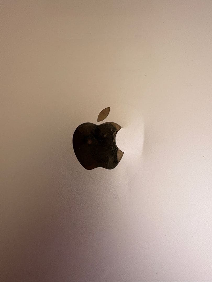 Apple iPad pro 10.5 64gb バテッリー容量98%