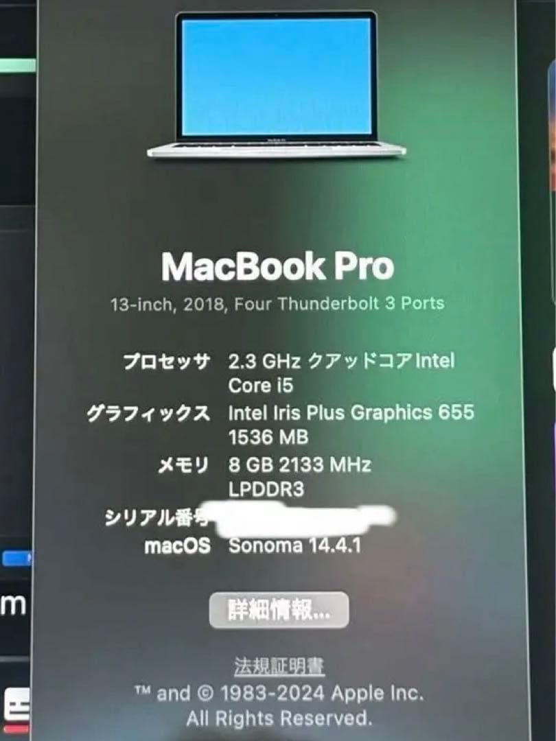 極美品* MacBook Pro 2018 13.3inch 8g 512M