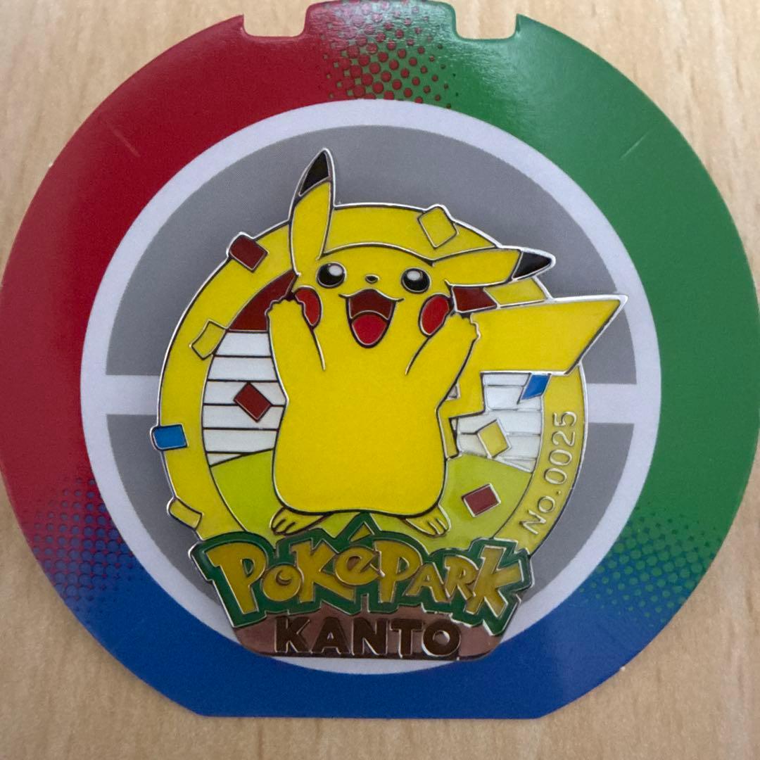 ポケパークカントー ピンバッジ ピンズ ピカチュウ ライチュウ 2個セット