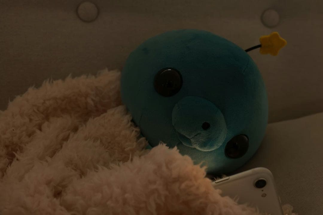 タマ クラウドファンディング ぬいぐるみ