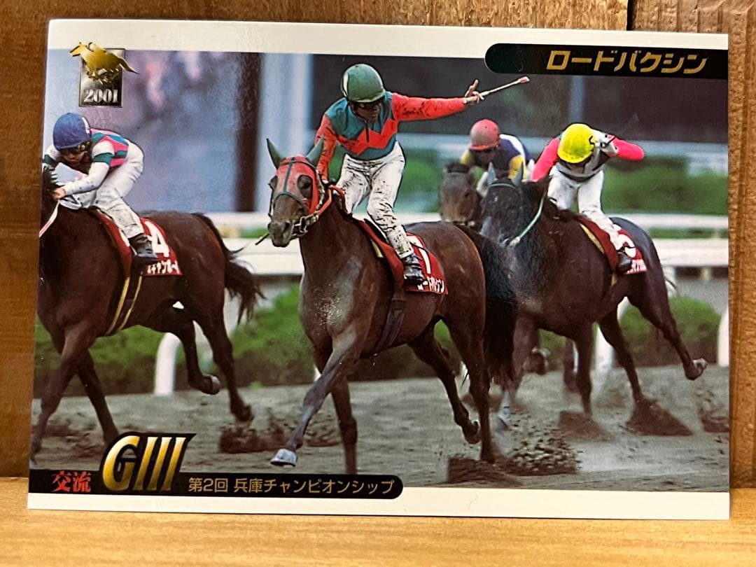 ロードバクシン 第33回 菊水賞 競馬カード