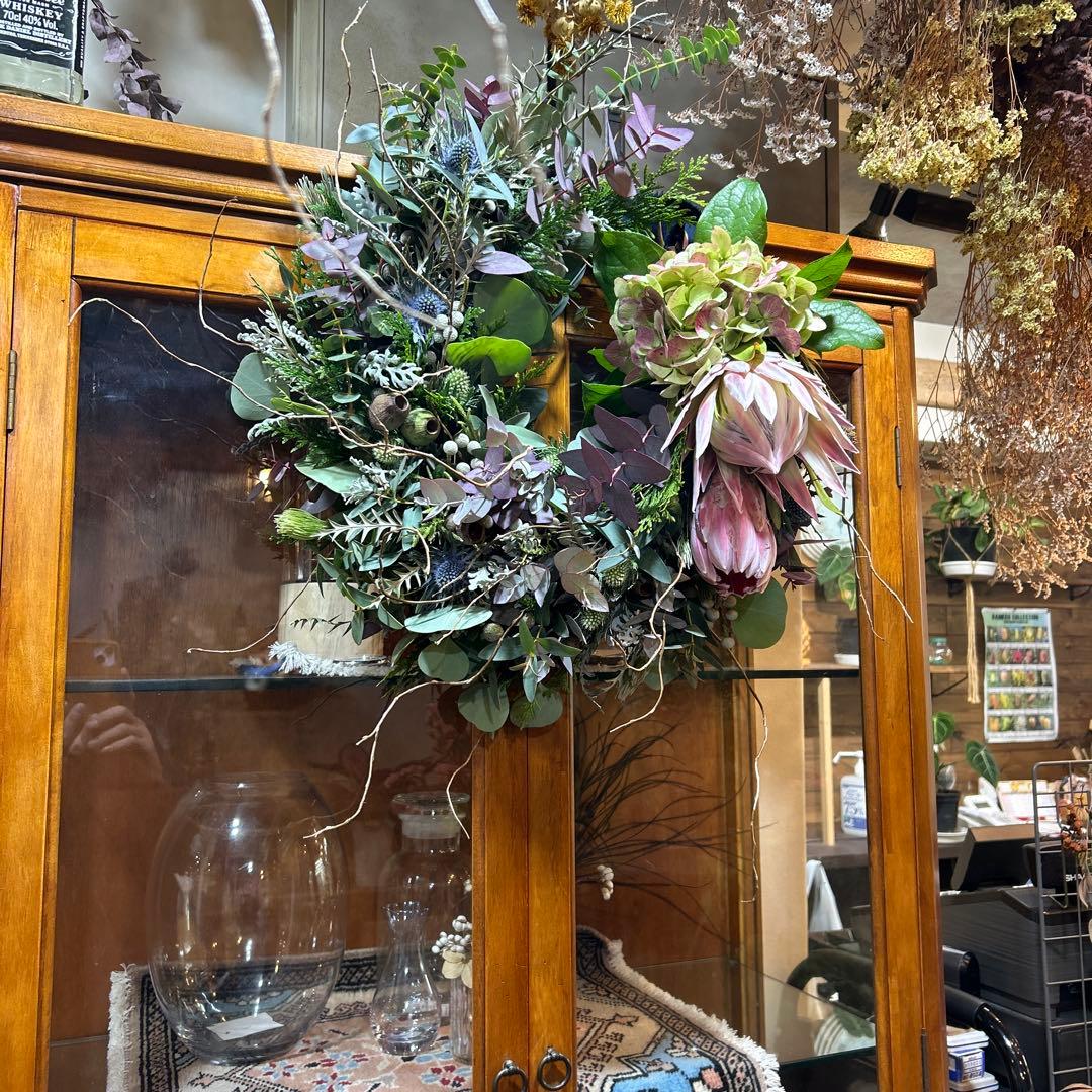 キングプロテアとバンクシアのリース