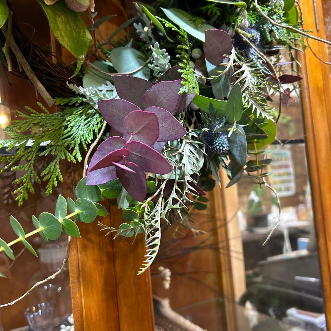 キングプロテアとバンクシアのリース