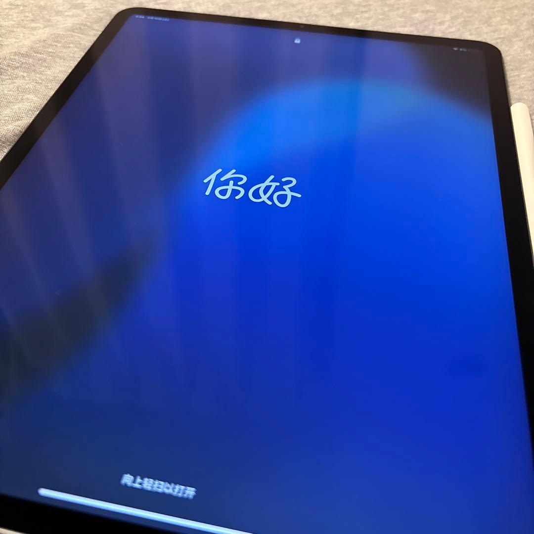 【美品】iPad Pro 12.9 第3世代+Apple Pencil