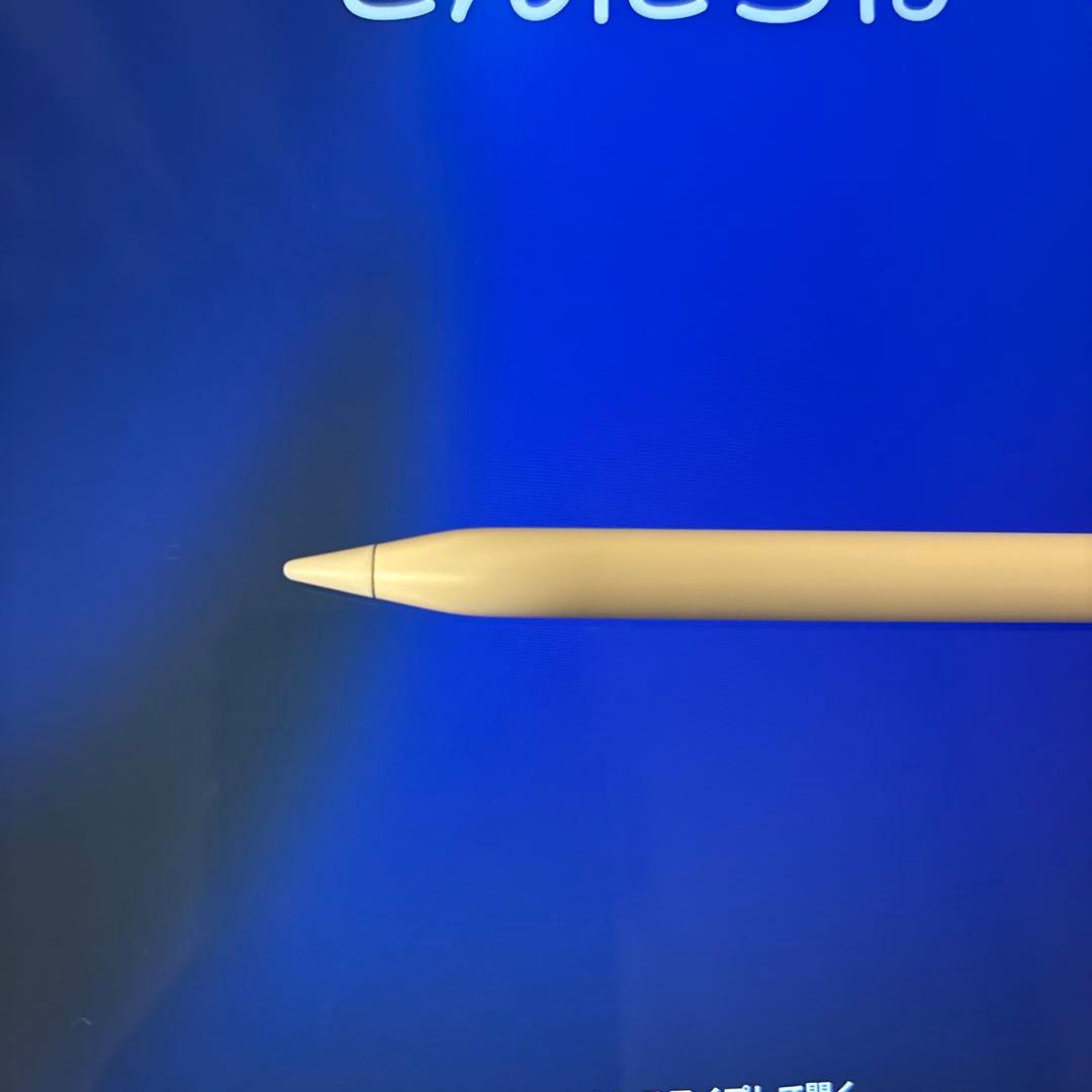 【美品】iPad Pro 12.9 第3世代+Apple Pencil