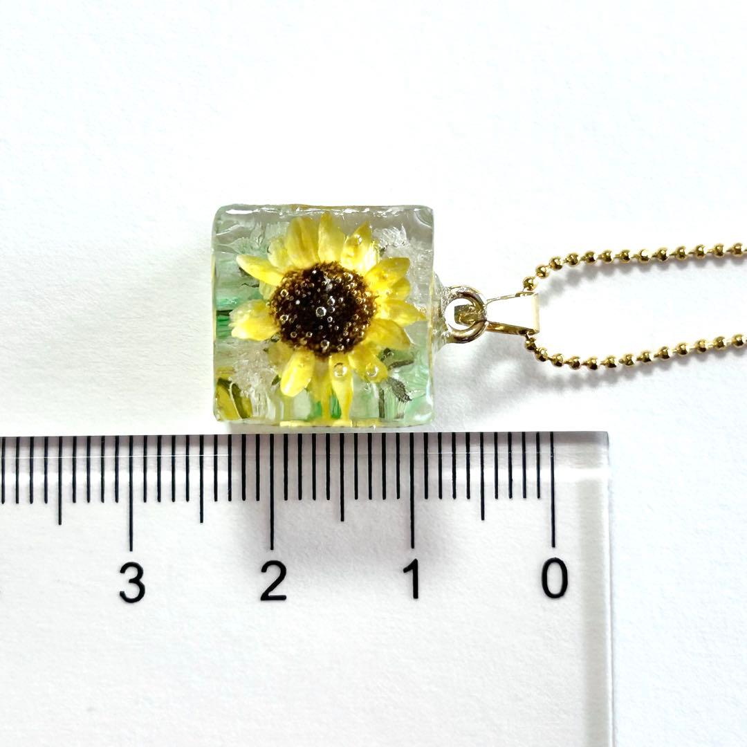 Ahahahaha2 キューブL 11点