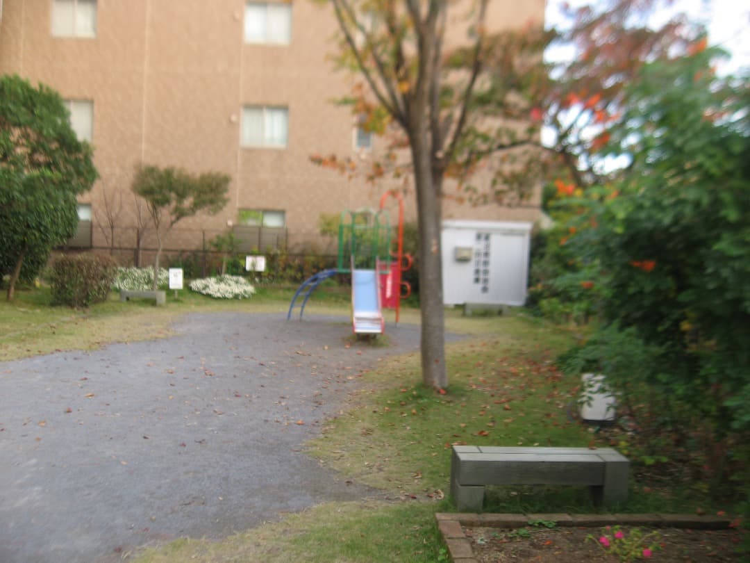 撮影⭕️訳あり【動作確認済み】Canon IXY DIGITAL 800IS