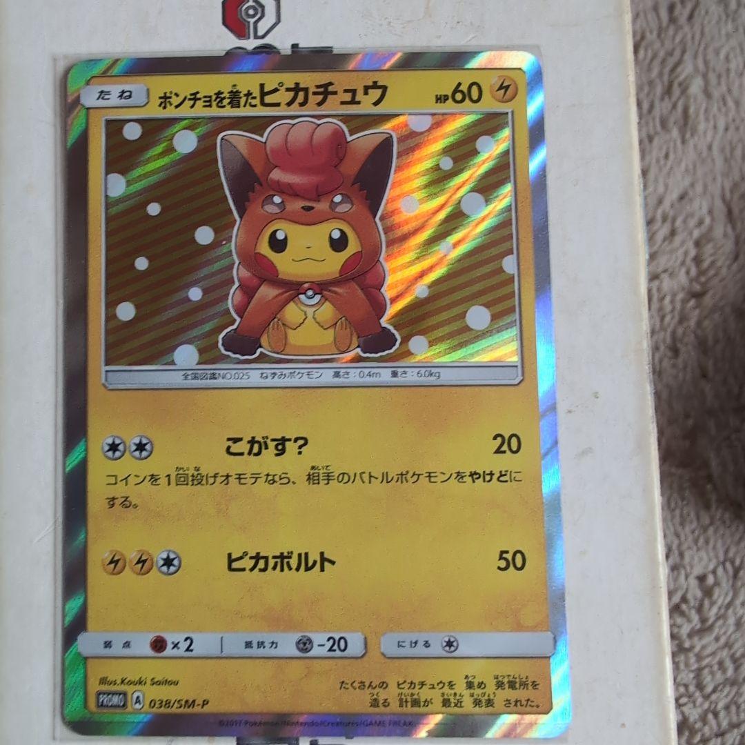 ポンチョを着たピカチュウ2枚セット