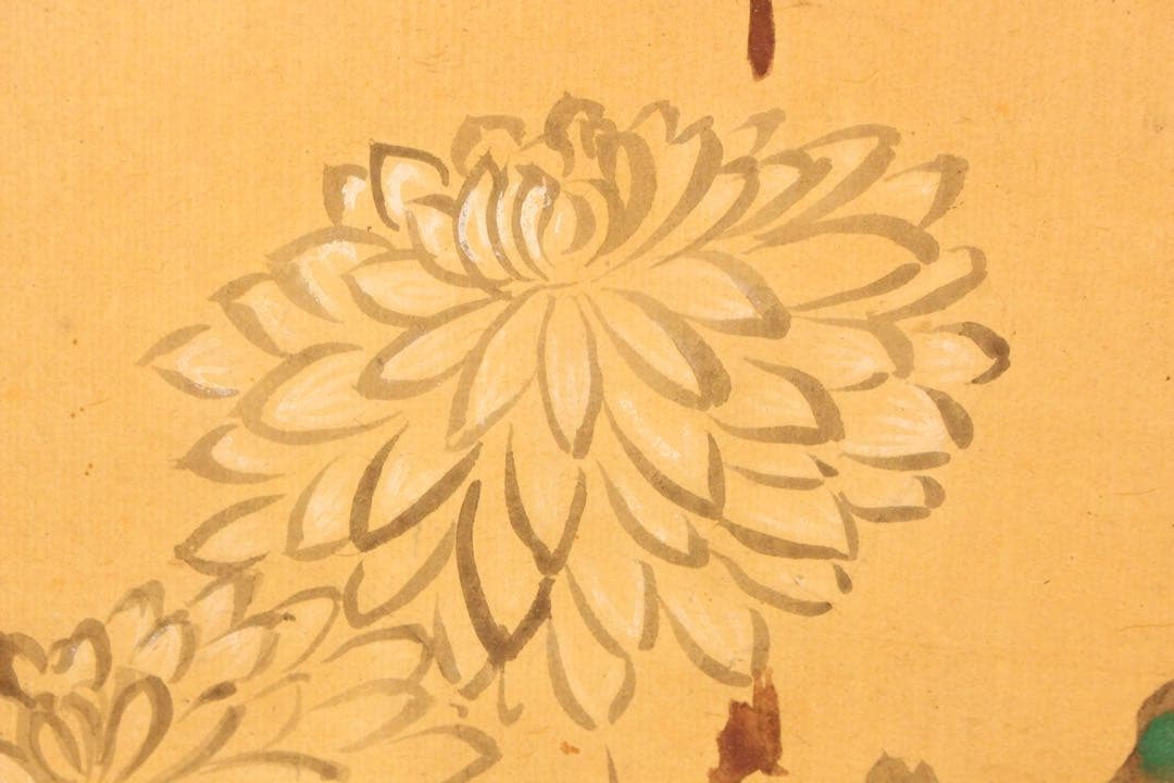 No5068 掛軸　法橋巨勢秀信　菊図　紙本着色　合箱　日本画　古美術　送料無料