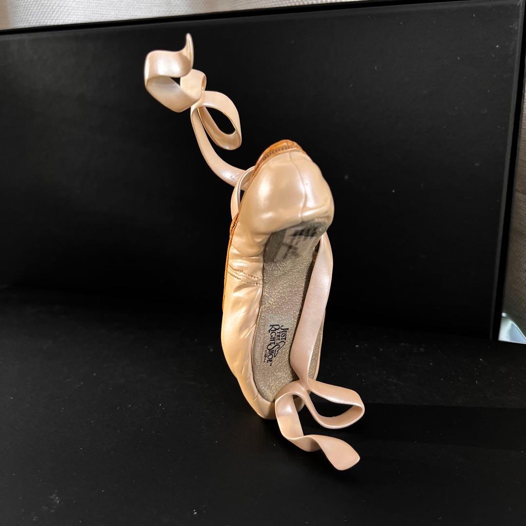 JUST THE RIGHT SHOE ジャストザライトシュー 6種セット