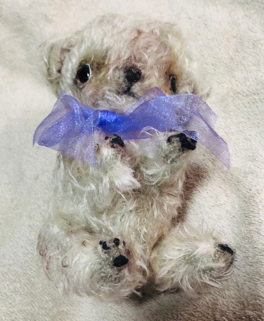 作家様　ハンドメイド　ぬいぐるみ　犬　ヨークシャテリア　プードル