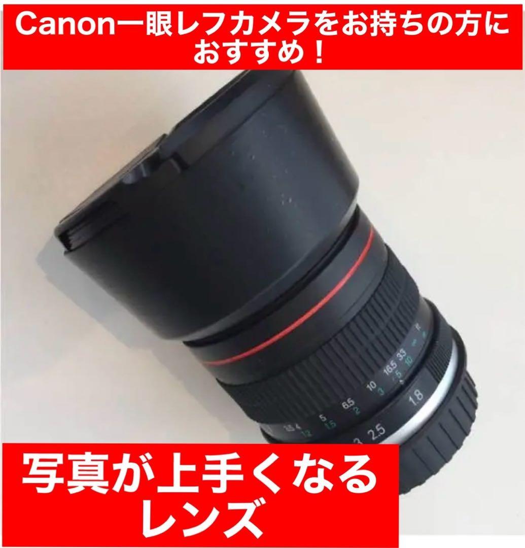 美しい！写真が上手くなる単焦点レンズ！Canon一眼レフをお持ちの方におすすめ！