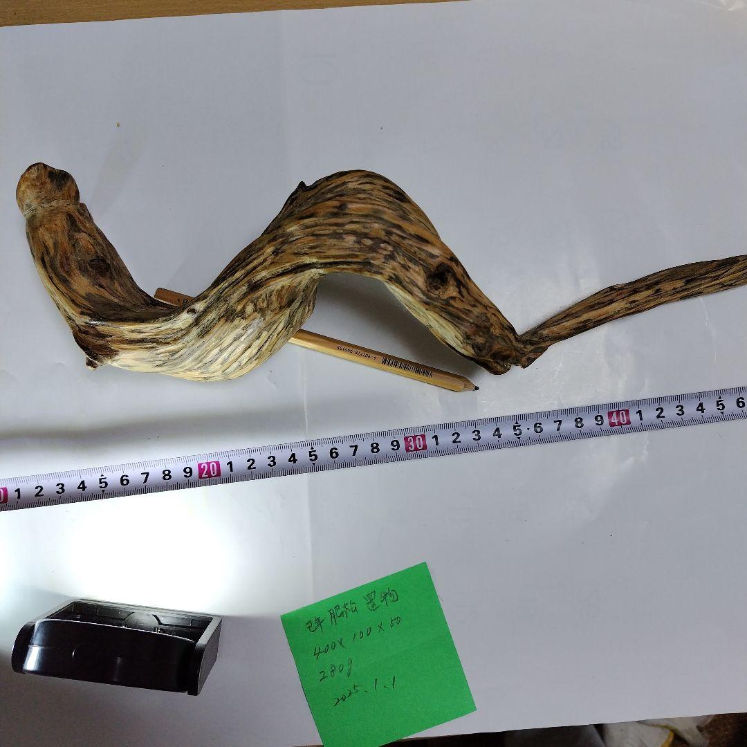 巳年縁起物肥松置物 約40cm