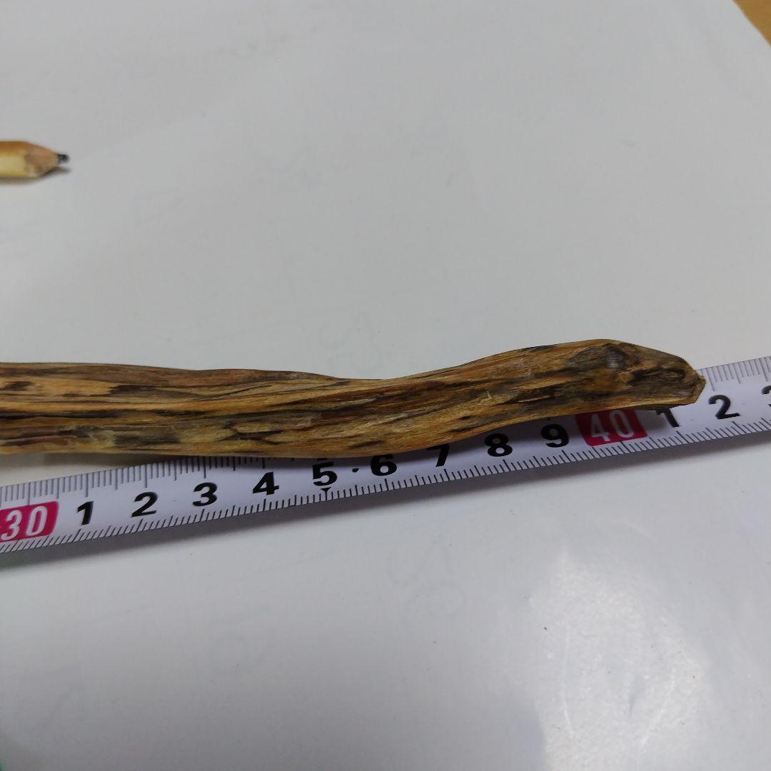 巳年縁起物肥松置物 約40cm