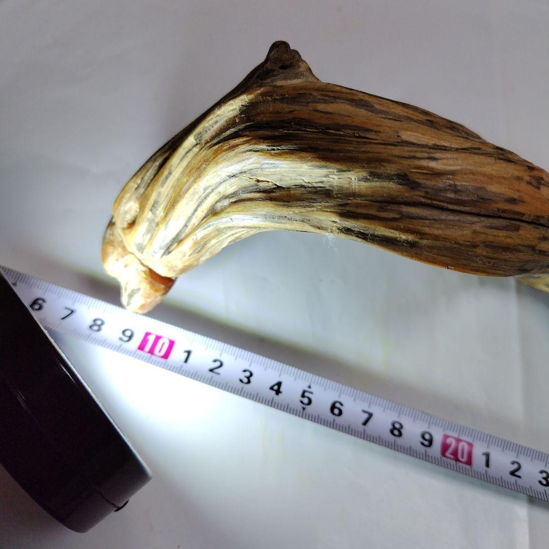 巳年縁起物肥松置物 約40cm